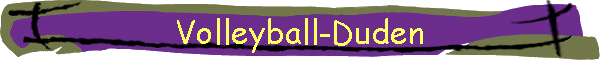 Volleyball-Duden