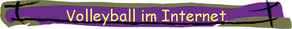 Volleyball im Internet