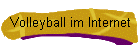 Volleyball im Internet