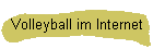 Volleyball im Internet
